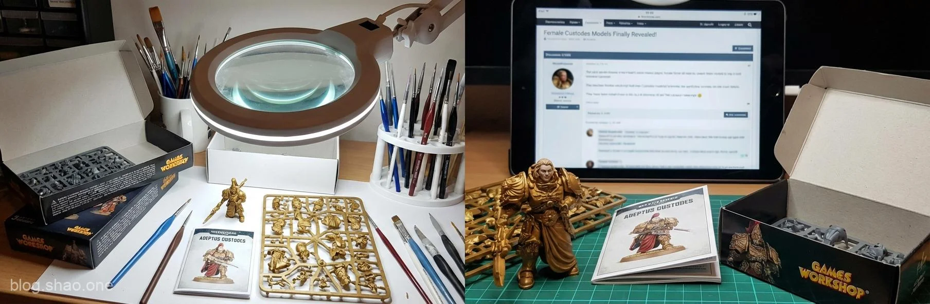 戰鎚 40K 震撼彈!女性禁衛軍模型首度現身,Games Workshop 這次真的「開大招」了!